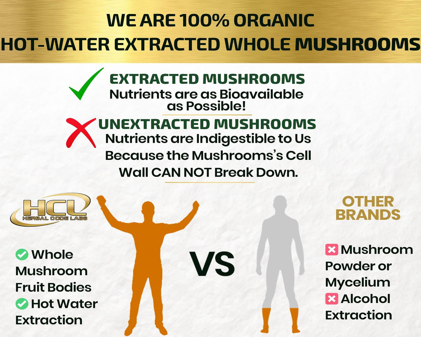 Organic Mushrooms Extract