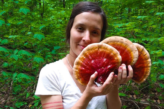 WHY YOUR NEXT SUPPLEMENT IT HAS TO BE MUSHROOMS?