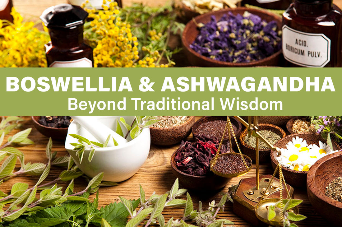 Ancient Treasures for Modern Wellness: Boswellia & Ashwagandha's Legacy