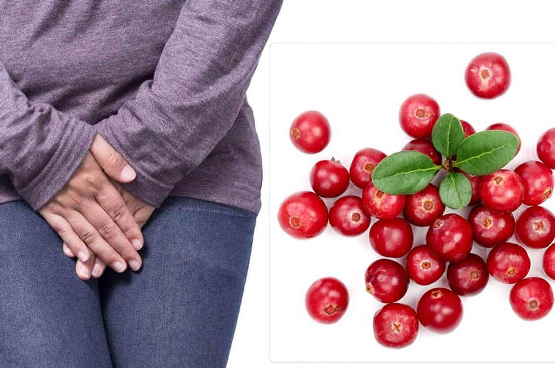 WHY TO CHOOSE CRANBERRY FOR YOUR HEALTH?