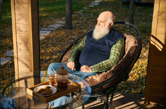 The Power of Sunlight: Why Your Body Craves Morning Light