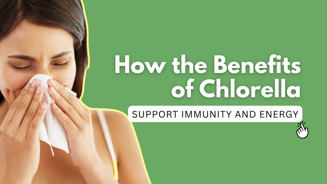 How the Benefits of Chlorella Support Immunity and Energy