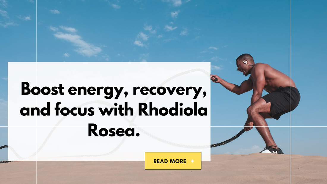 Rhodiola Rosea Benefits for Men: Performance & Muscle Recovery