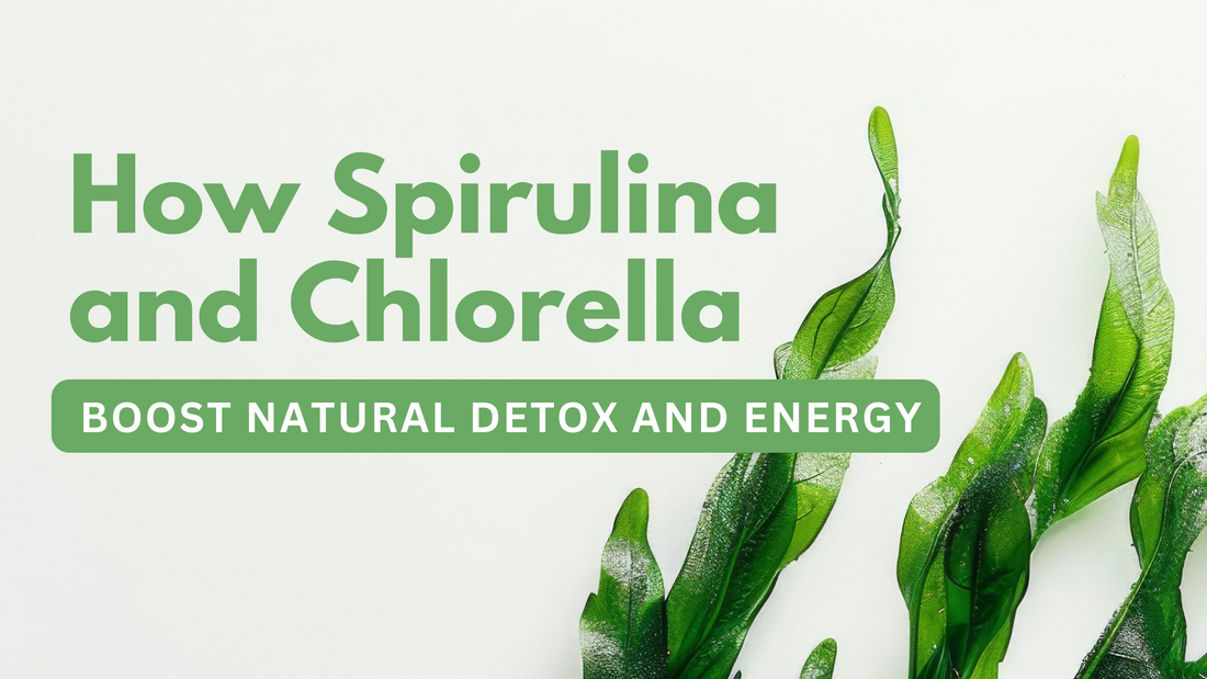 How Spirulina and Chlorella Boost Natural Detox and Energy