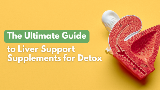 The Ultimate Guide to Liver Support Supplements for Detox