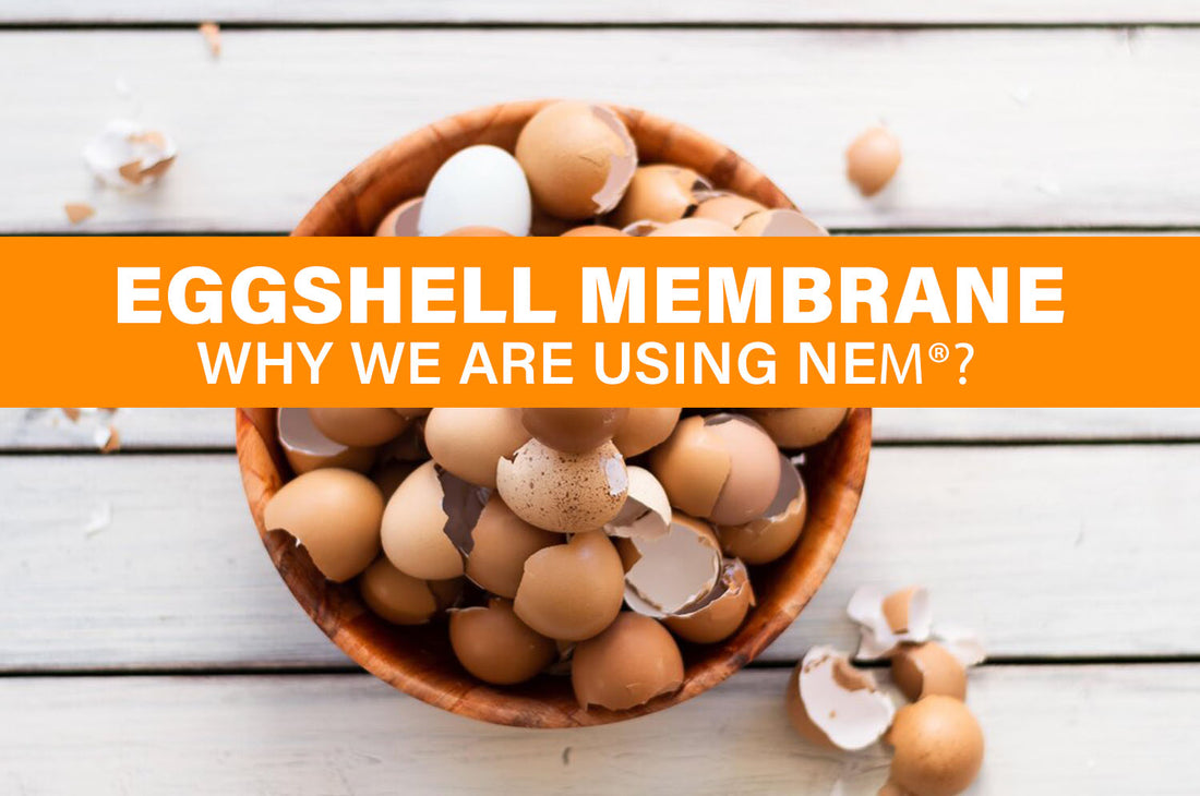 EGGSHELL MEMBRANE: WHY NEM®?