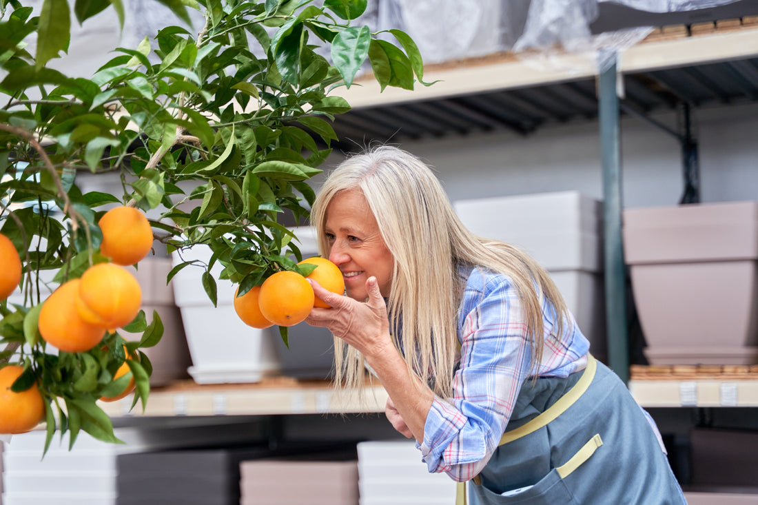 Vitamin C for Immunity and Glow: Why This Isn’t Just a Cold-Season Supplement