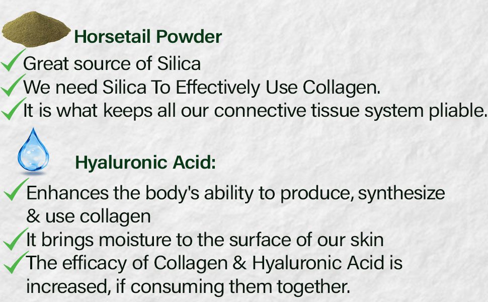 Collagen Peptides Powder