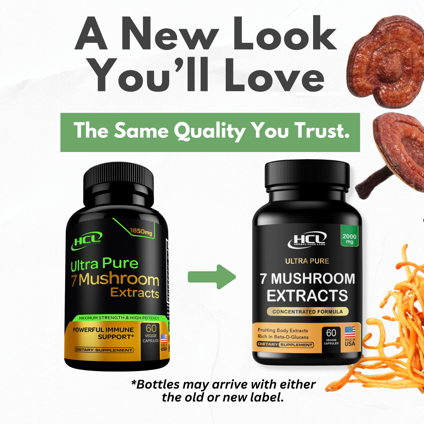 Organic Mushrooms Extract