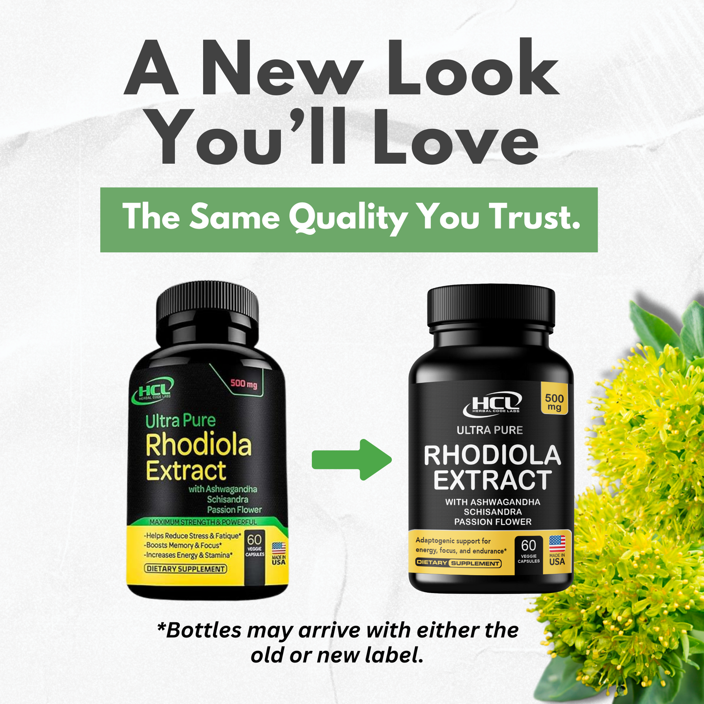 Rhodiola Rosea Supplement