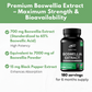 Boswellia Serrata Extract