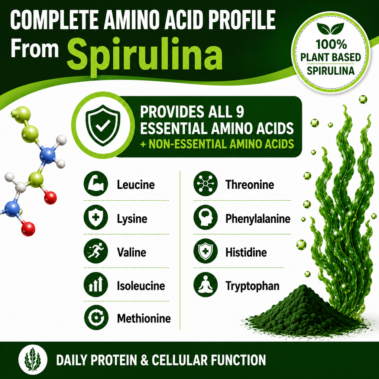 Spirulina Capsules