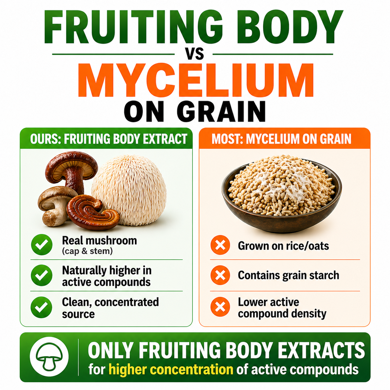 Mushrooms Extract