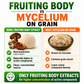Mushrooms Extract