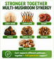 Mushrooms Extract
