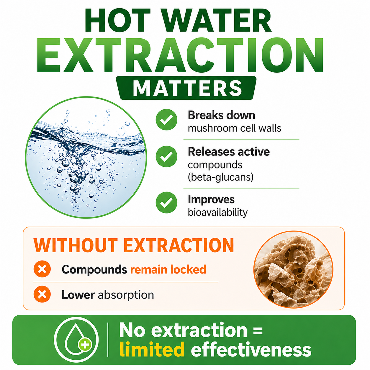 Mushrooms Extract