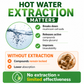 Mushrooms Extract