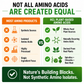Essential Amino Acids Plant Based Supplement