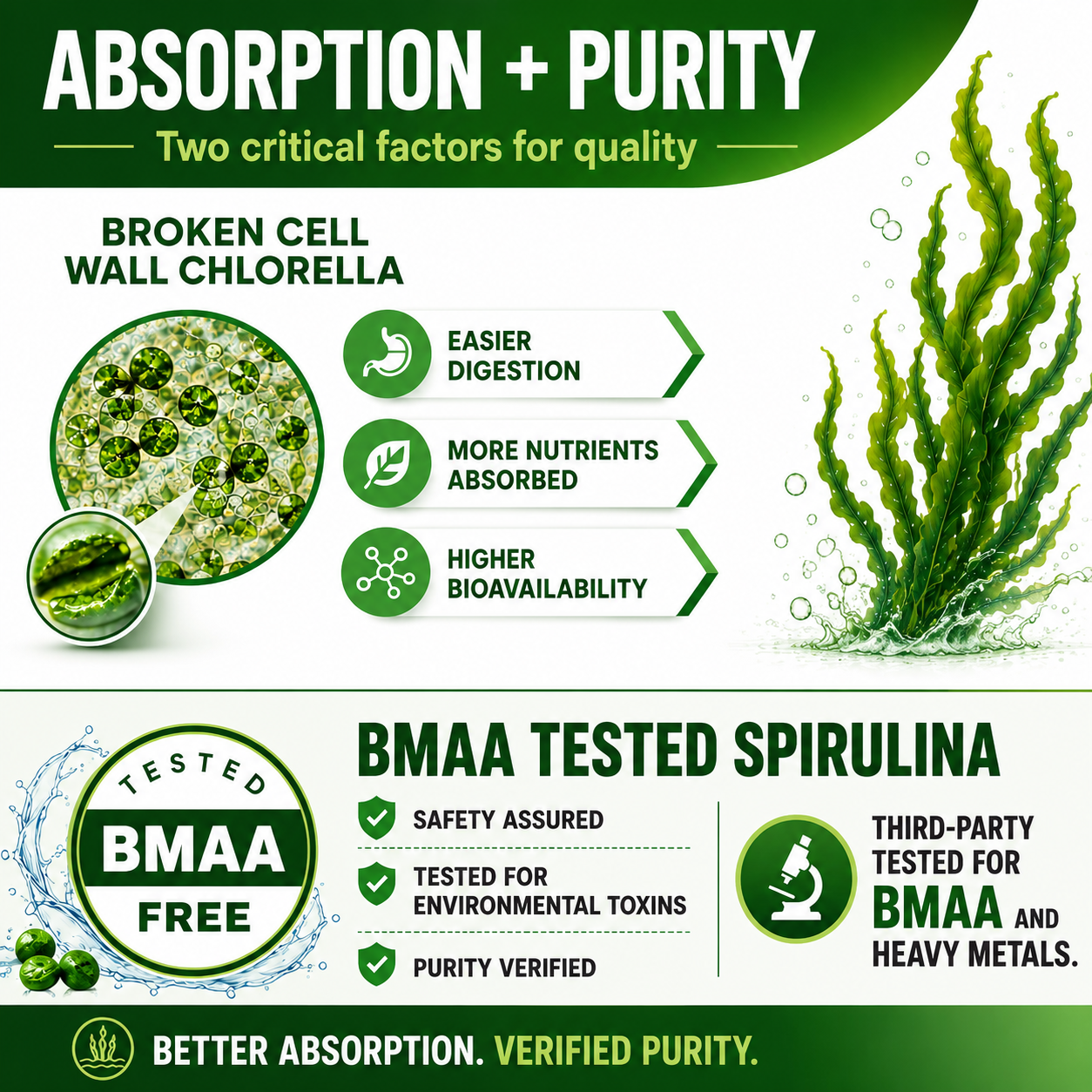 Essential Amino Acids Plant Based Supplement