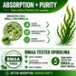 Essential Amino Acids Plant Based Supplement