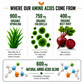 Essential Amino Acids Plant Based Supplement