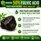 Pure Shilajit Resin
