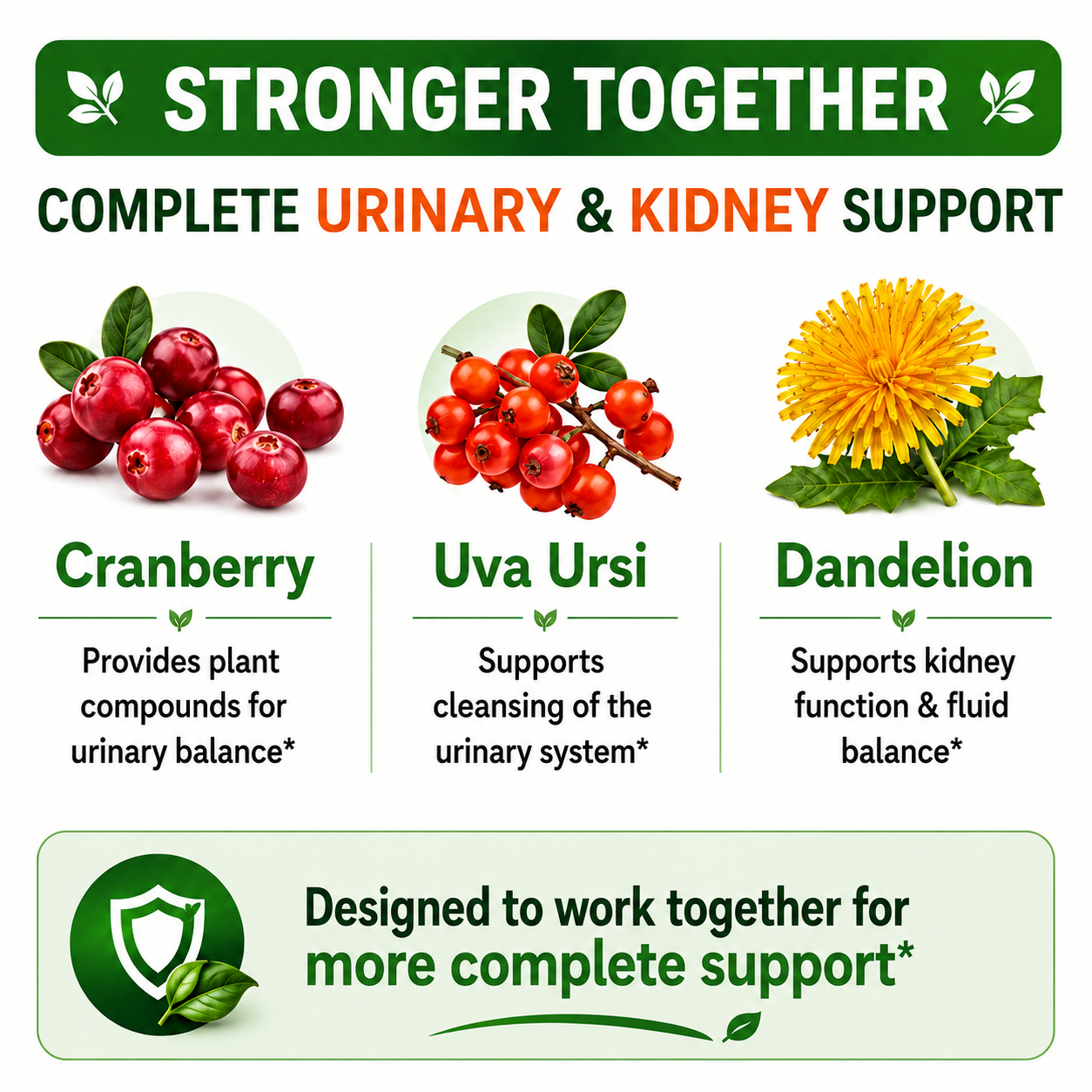 Cranberry Extract Pills