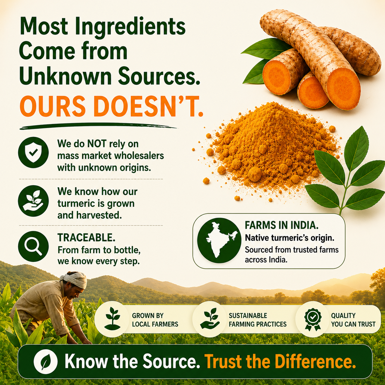 Turmeric Curcumin Extract