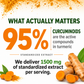 Turmeric Curcumin Extract