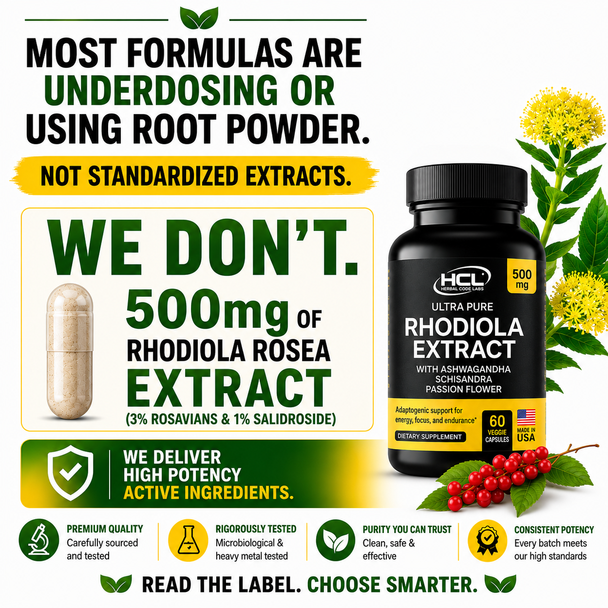 Rhodiola Rosea Supplement