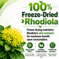Rhodiola Rosea Supplement