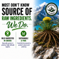 Rhodiola Rosea Supplement