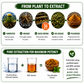 Rhodiola Rosea Supplement
