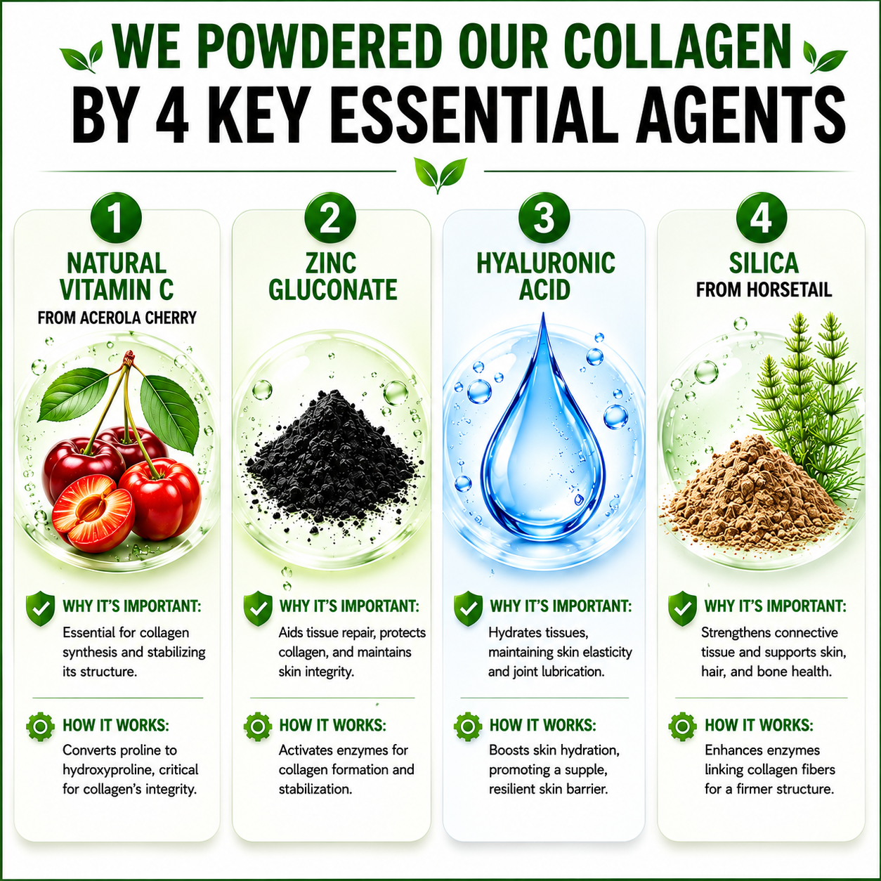 Multi-Collagen Complex