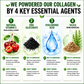 Multi-Collagen Complex