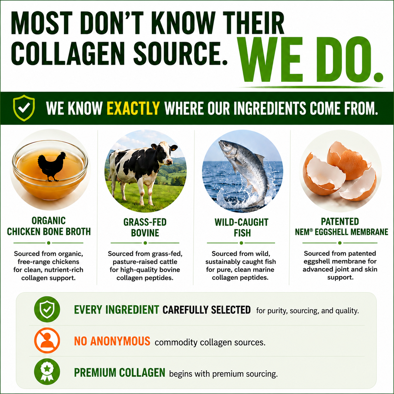 Multi-Collagen Complex