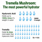 Skin Hydration Supplement