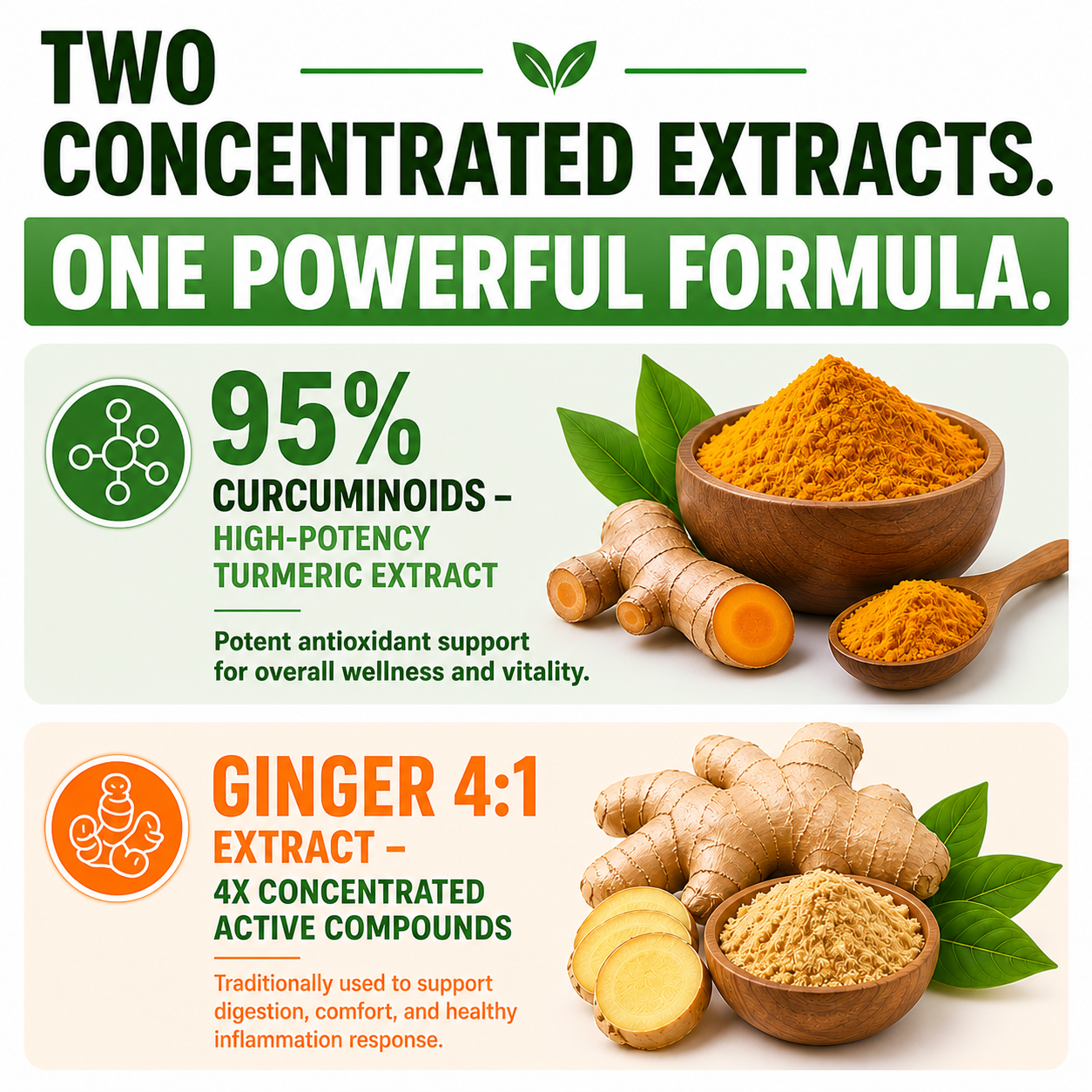 Turmeric Ginger Extract