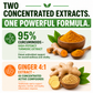 Turmeric Ginger Extract