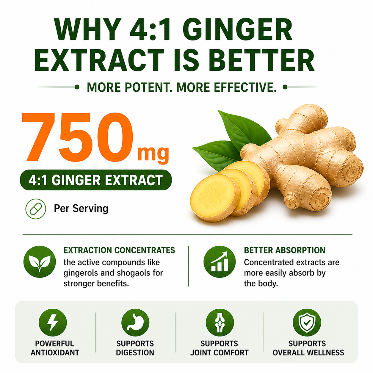 Turmeric Ginger Extract