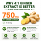 Turmeric Ginger Extract