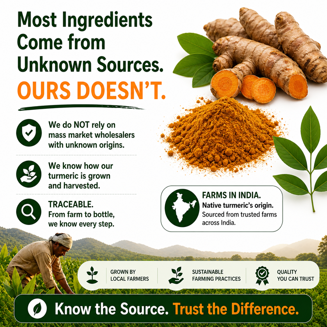 Turmeric Ginger Extract