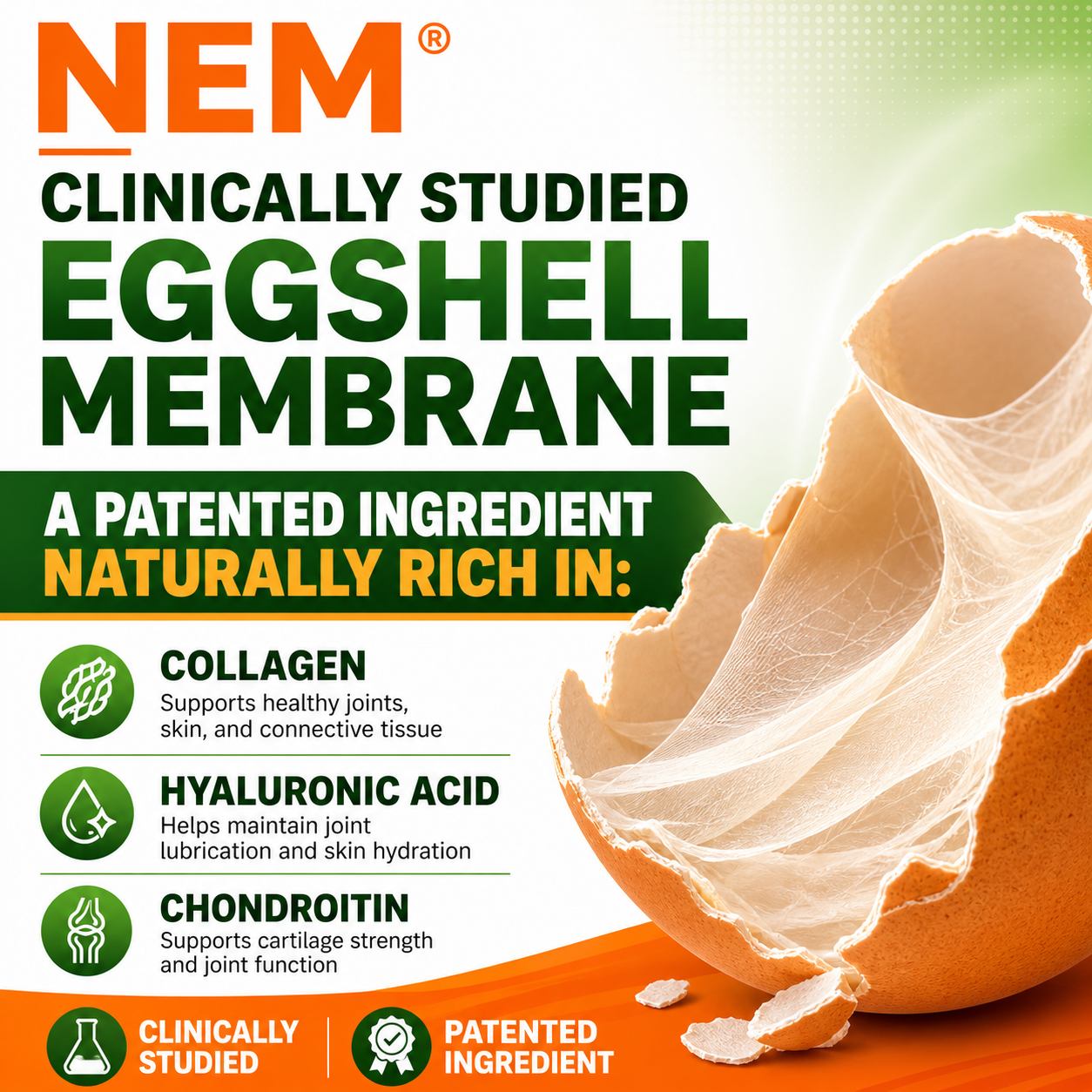 Collagen NEM® & Turmeric Extract