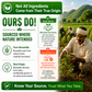Boswellia Serrata Extract