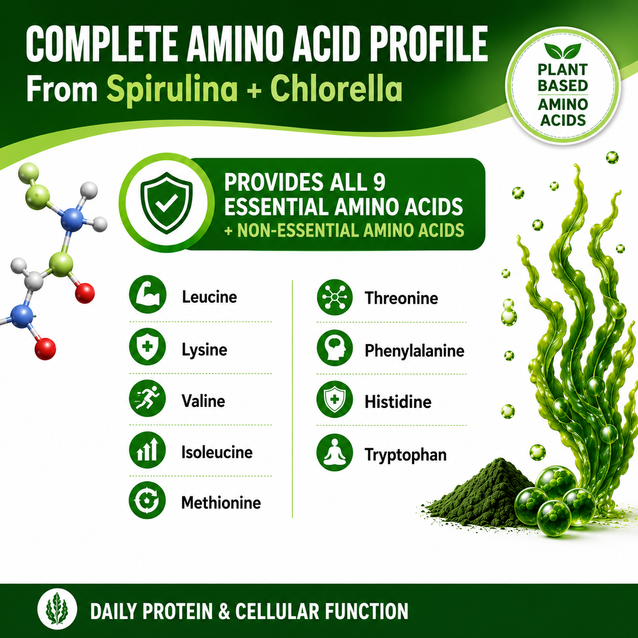 Spirulina Chlorella