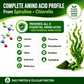 Spirulina Chlorella