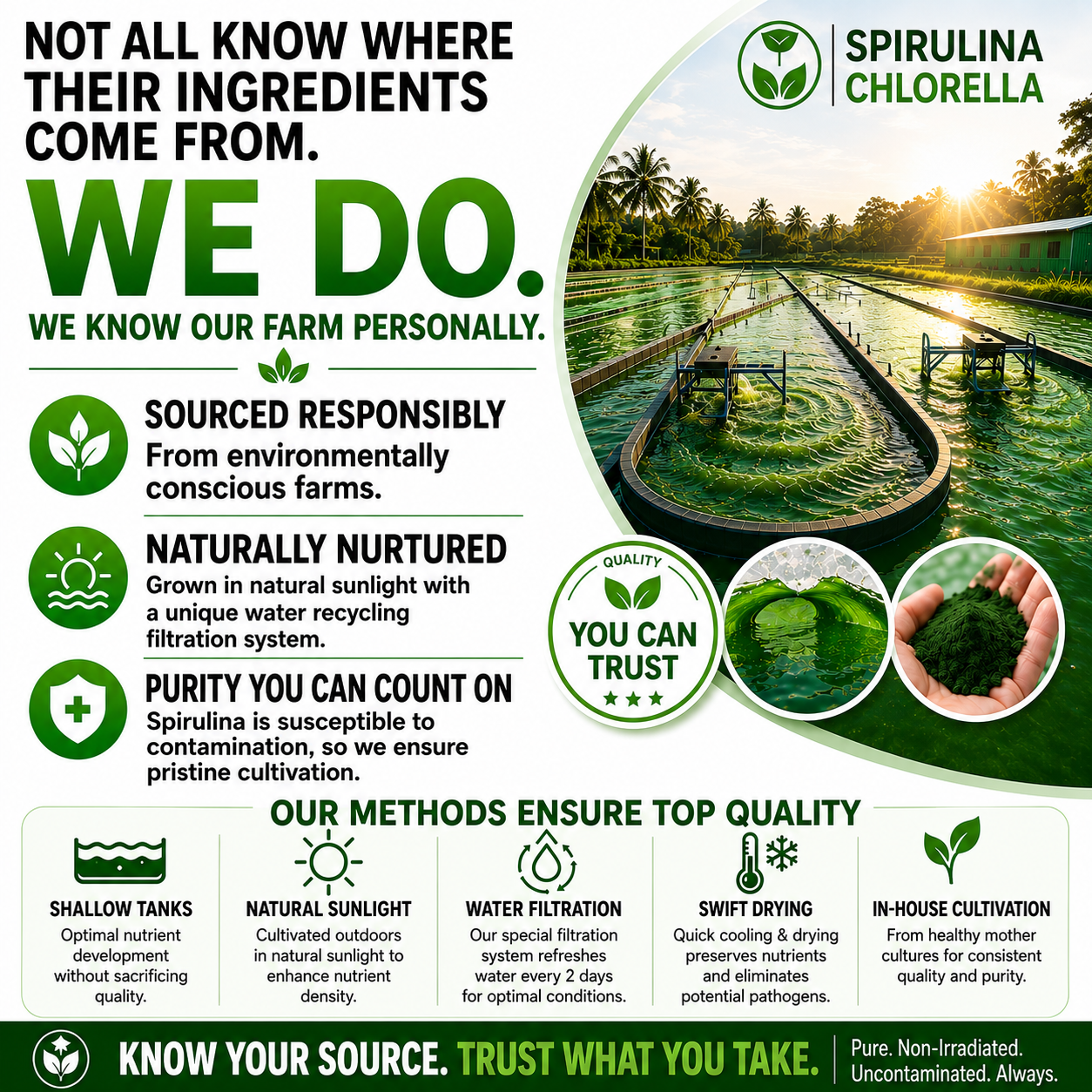 Spirulina Chlorella