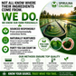Spirulina Chlorella