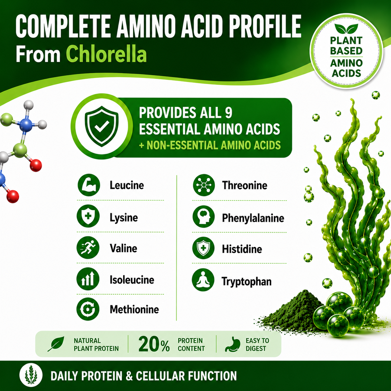 Chlorella Capsules