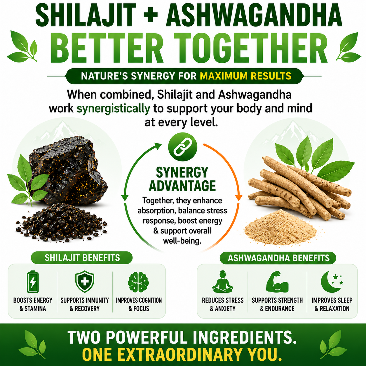 Pure Shilajit Resin